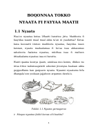 Text kutaa 3.doc